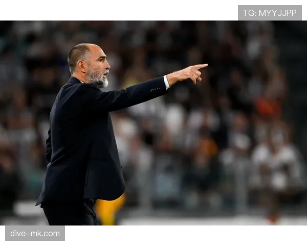 齐达内巅峰进球数据解析：传奇时刻铸就足坛不朽神话