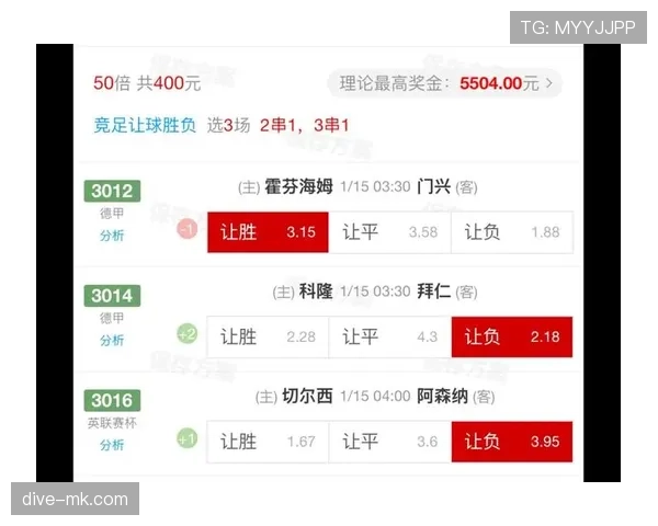 霍芬海姆新赛季阵容亮点：新人涌现与老将引领齐发力