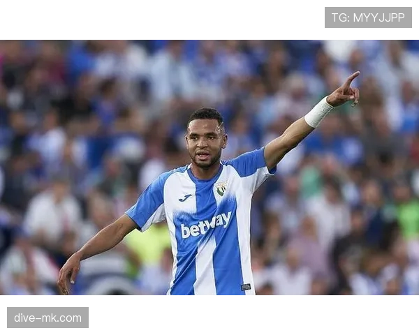 阿拉维斯防线稳定